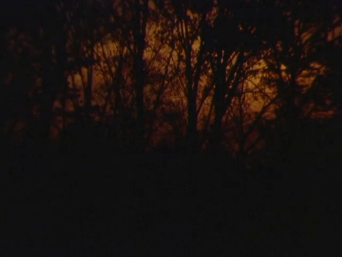 vlcsnap 2025 03 16 20h21m14s628.png