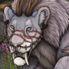 IMG 4294.png