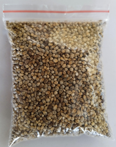 IMG 20250316 124139.jpg