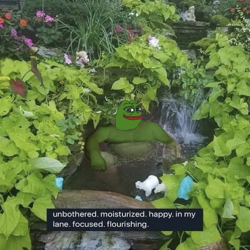 GmNNBGTWMAA8u0U.png