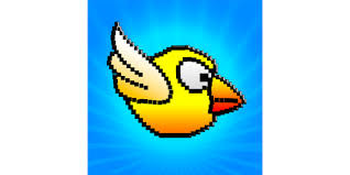 bird.jpg