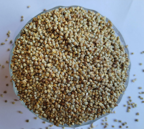 IMG 20250316 123627.jpg