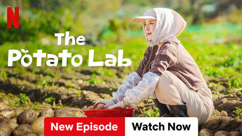 c31e6c92 81ab 4bd9 a753 5fbeab85c6bb.jpg