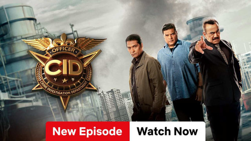 376ca0c6 4776 488f a1e3 2ef1c846e4bd.jpg