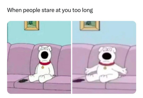 480265448 122112788546779894 2202953912542783115 n.jpg