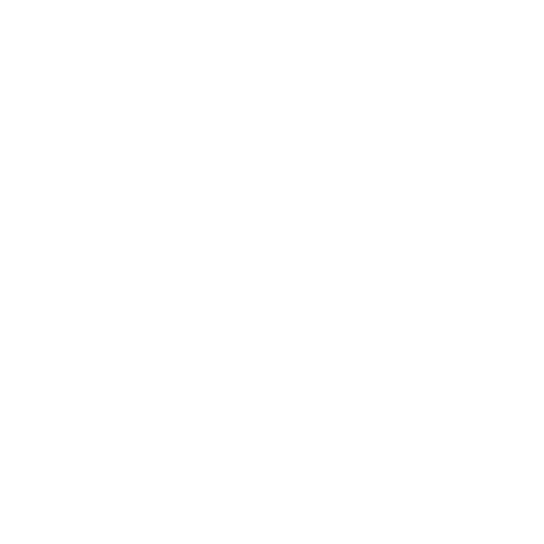 icons8 github 500.png