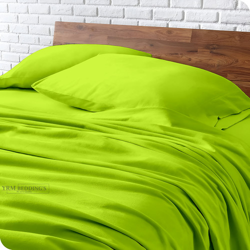 Parrot Green (2).jpg