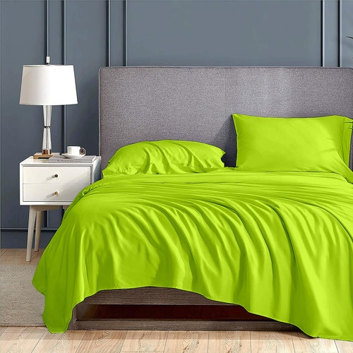 Parrot Green (8).jpg