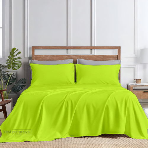 Parrot Green (4).jpg
