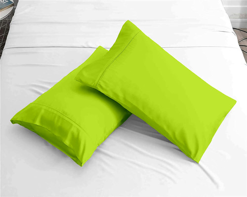 Parrot Green (9).jpg