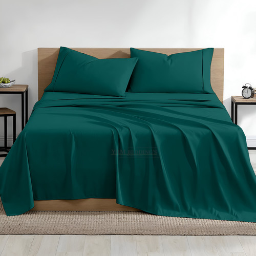 Teal (1).jpg