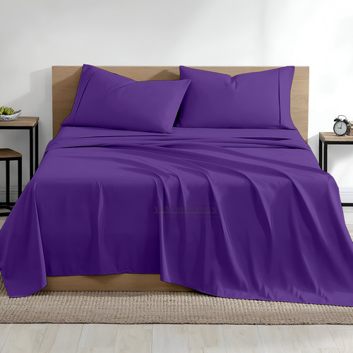 Purple (1).jpg