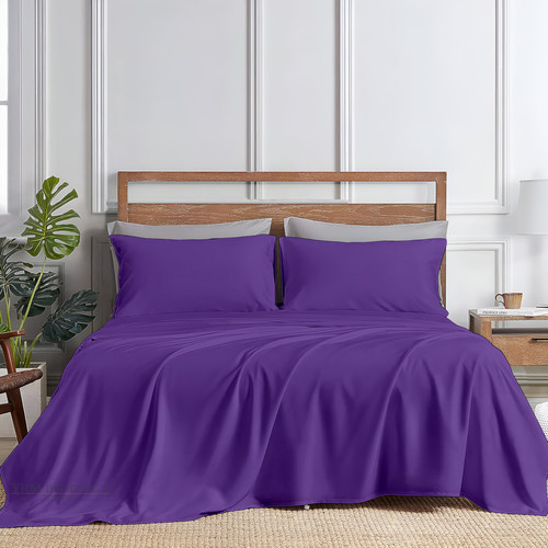 Purple (4).jpg