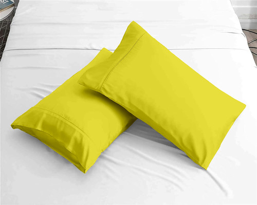 Venilla yellow (9).jpg