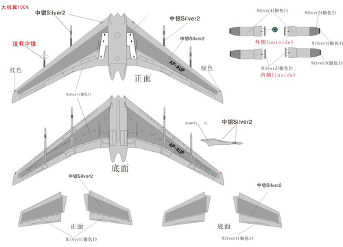 707 300 RM70302巴基斯坦PIA 15 3 2025 Page 2