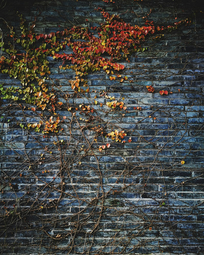morefun boy 3o7O 6fi7Qc unsplash.jpg