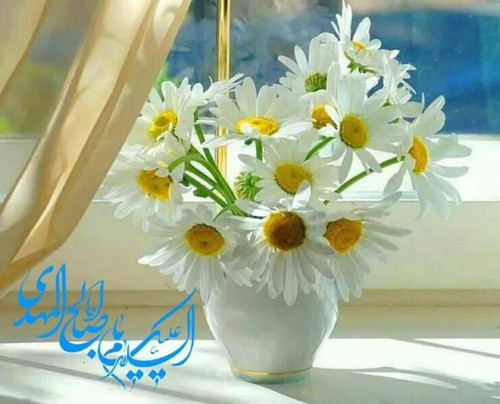 UMosZvM jK8Aw5a6cVW4zZJ6n0GnFGhkgABvs1Rs0I0 208jGisYGO yz64mW95KiZ0KcNRFl7De29EQTzq7lYNKUdvOiuANoAID.jpg