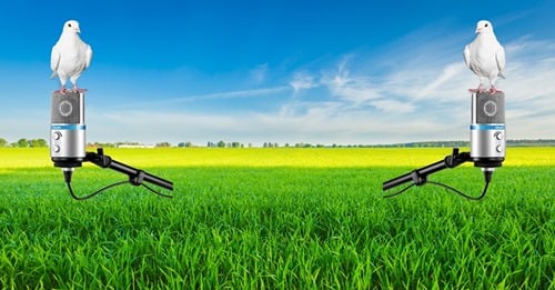 257830594 1495493217476166 7818525498206706725 n.jpg