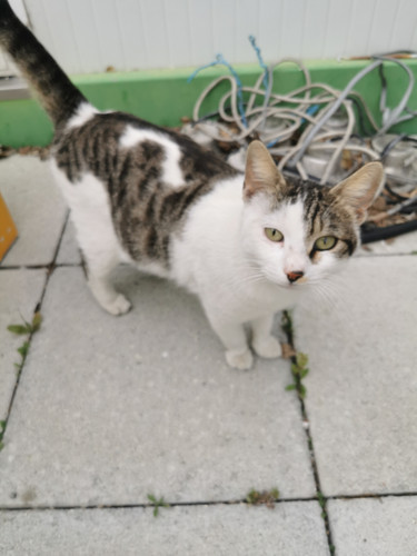 IMG 20250317 164833.jpg