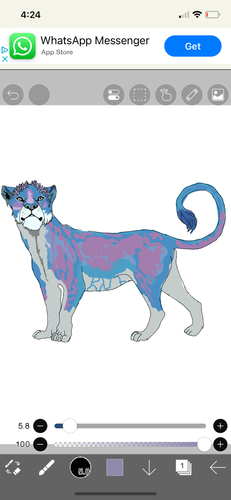 IMG 1049.png
