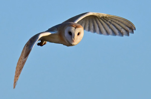 GmMsXL1bYAAfQdA.jpg