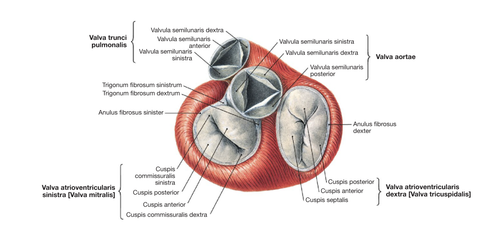 dfe04381e4f7.png
