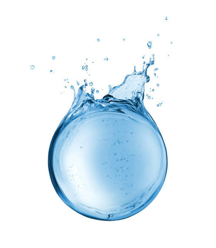 istockphoto 896402886 612x612.jpg