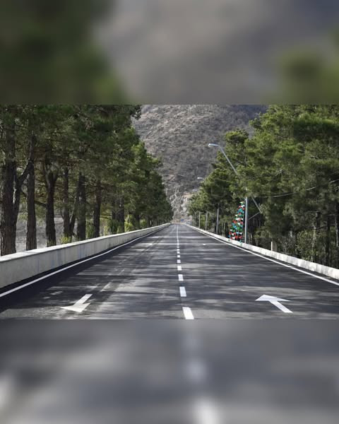 480470393 1205292858271898 7588709030400127461 n.jpg?stp=dst jpg s600x600 tt6& nc cat=111&ccb=1 7& n.jpg