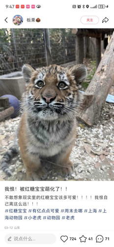 Screenshot 20250318 214750 com.xingin.xhs.jpg