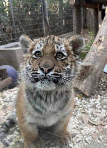 Screenshot 20250318 215103.jpg