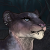 cute n punky thumbnail.png