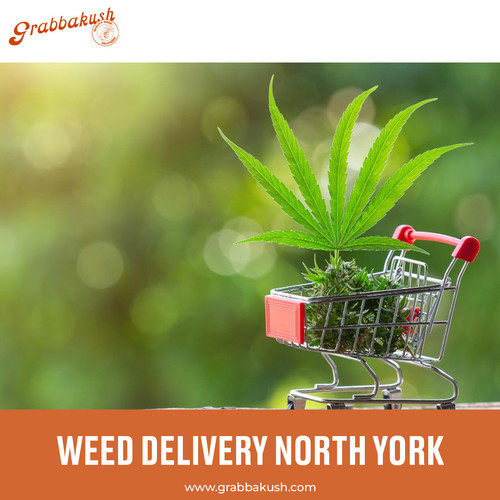 WEED DELIVERY NORTH YORK.jpg