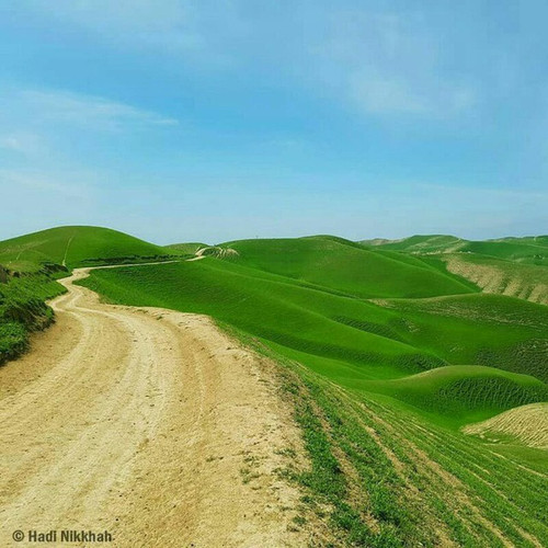 5041987664009604089 1.jpg