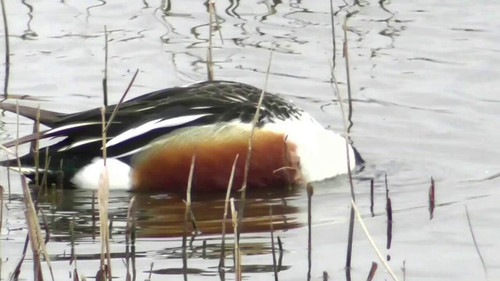 a0KAN5tRlrOXm Dg.jpg