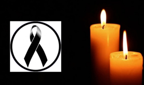 484920109 956294053282400 5156524566787665862 n.jpg? nc cat=103&ccb=1 7& nc sid=127cfc& nc ohc=j8RZS.jpg