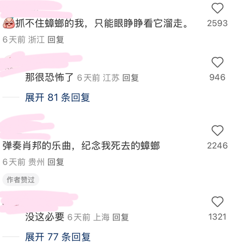 IMG 4992.png