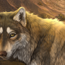 GoldenHour Thumbnail.png