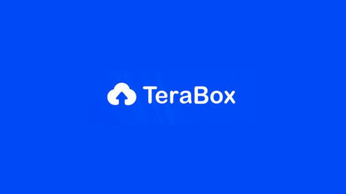 tertaboxback.jpg