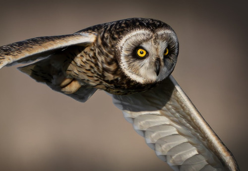 GmLY2Eda0AAXua4.jpg