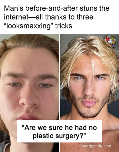 meme img5.png