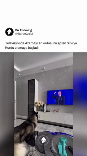 6rnlhB3fhrvpiU 8.jpg
