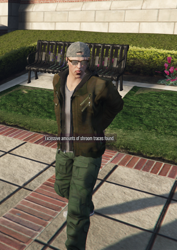 FiveM GTAProcess iApxQ56zRj.png