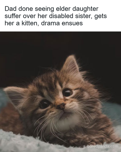30599f49 5887 416d 85d5 2e236c91d505.png