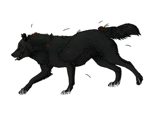 pine needle.png