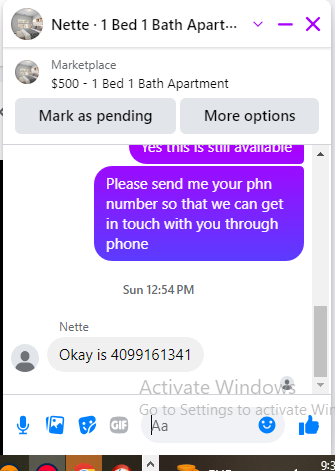 Nette.png