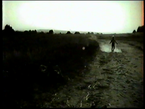 vlcsnap 2025 03 17 17h32m18s598.png