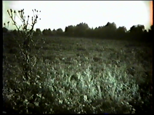 vlcsnap 2025 03 17 17h32m07s508.png