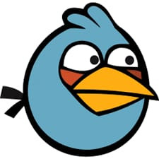 bird.jpg