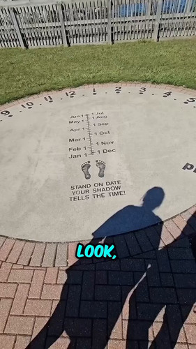 8hSLznQLIOpb9tPd.jpg