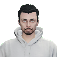 8a3335925cb7.png